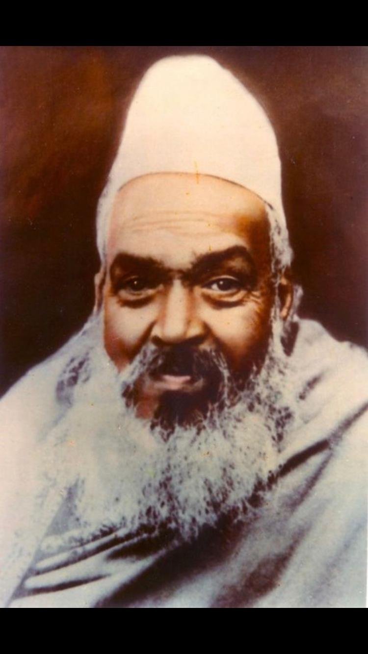 Shaykh