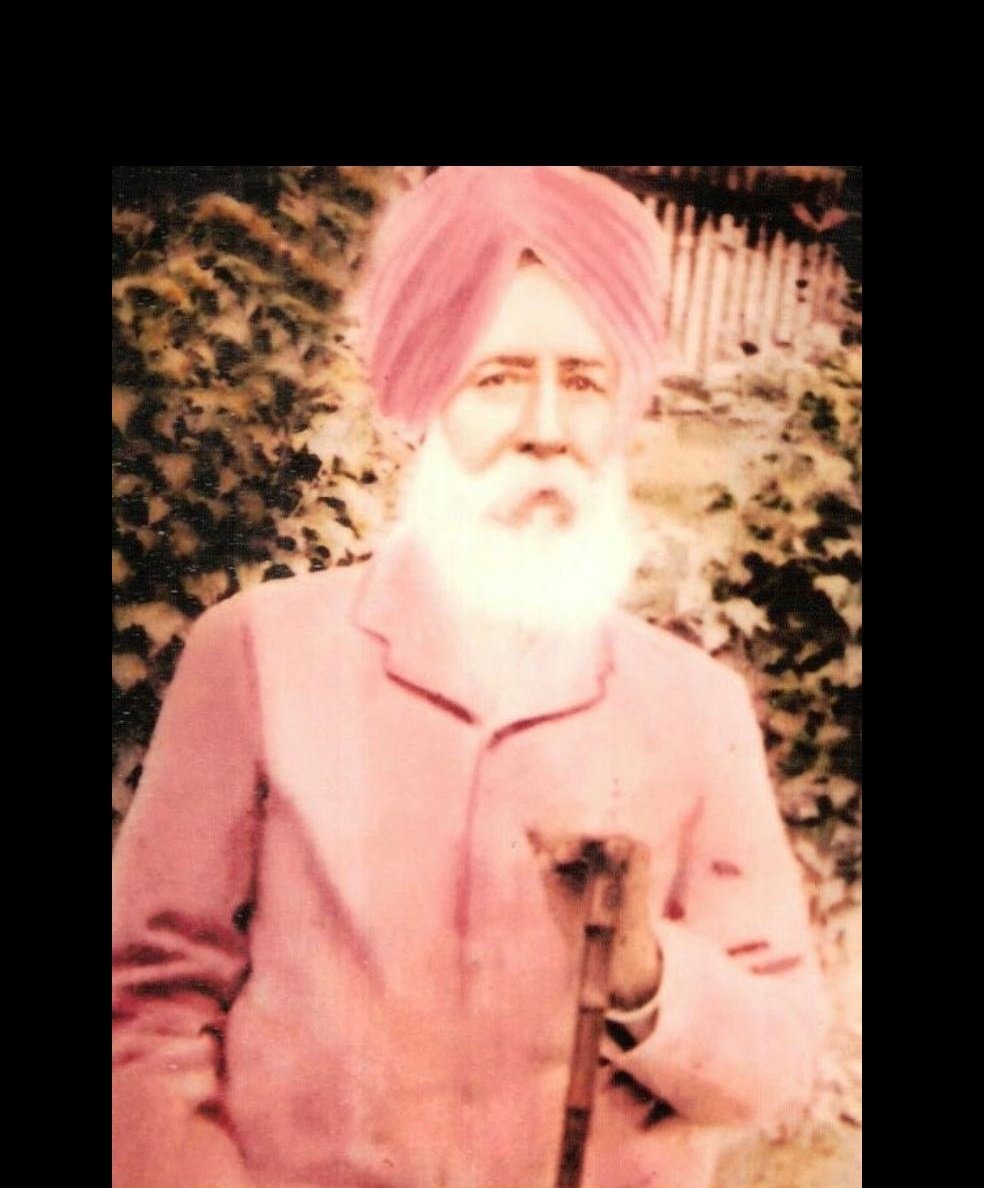 Shaykh